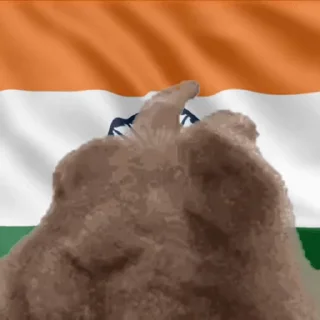🇮🇳