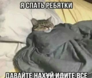 🤩