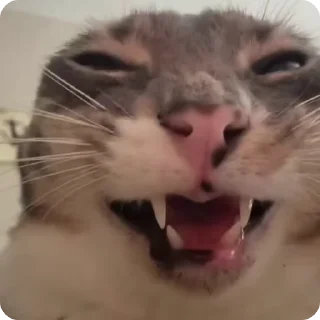 😈