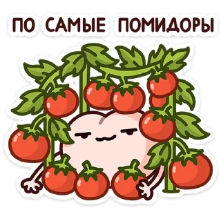 🍅