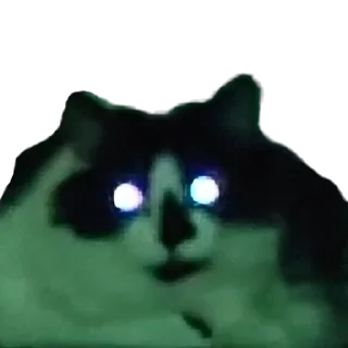 👽
