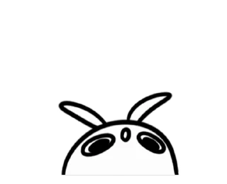 🐰