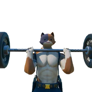 🏋️‍♂️