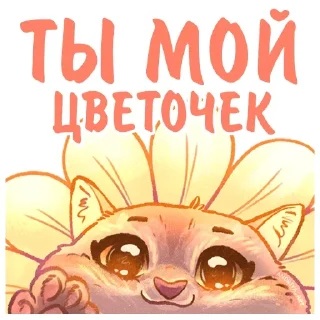 🌼