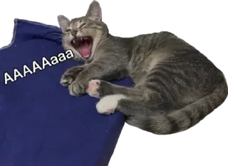 😱