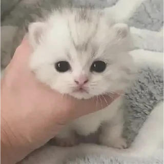 🙃