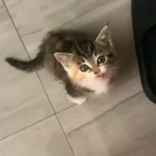🤩