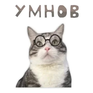 🤓