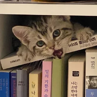 😲