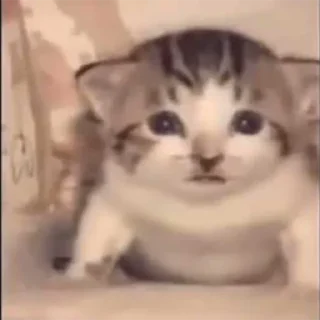 🙁