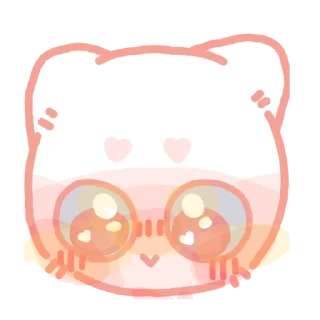 ✨