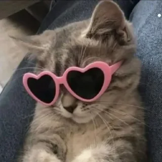 😎