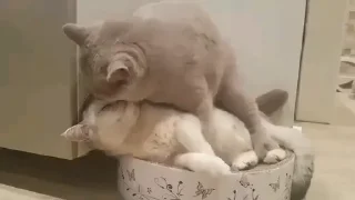 😂