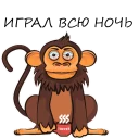 🐵