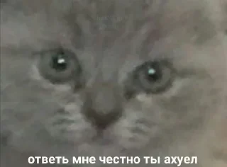 🤨