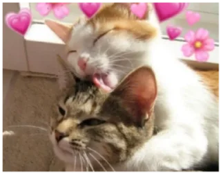 ❤️