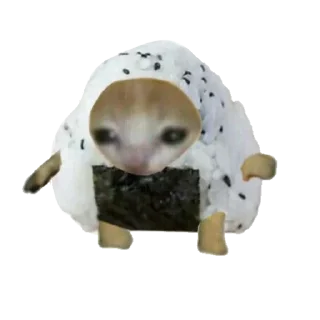 🍙