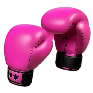 🥊