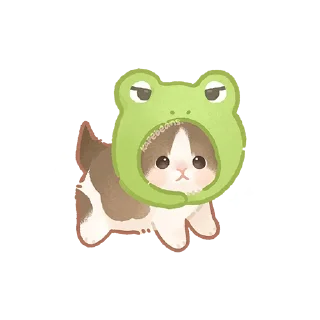 🐸