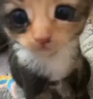 😳