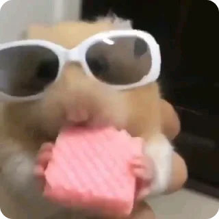 😎