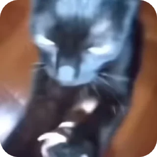 🤬