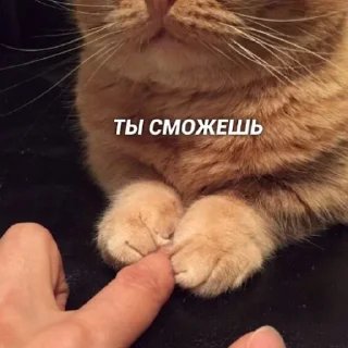 🫂