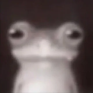🐸