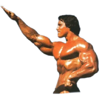 🤚