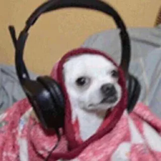 🎧