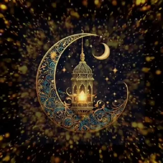 🌟