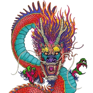 🐲