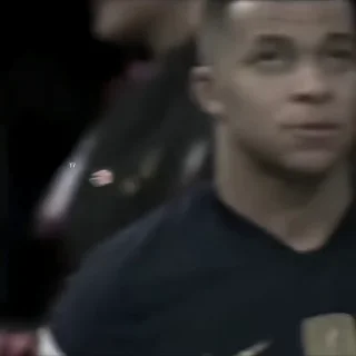 🐢