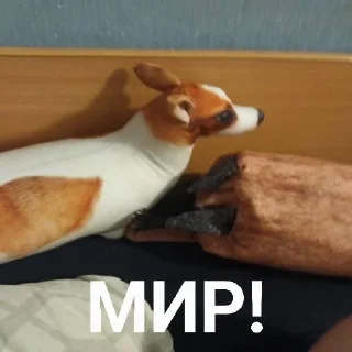 🤝