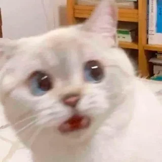 😯