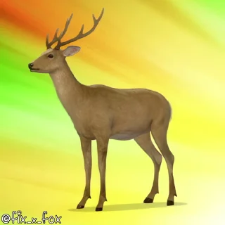🦌