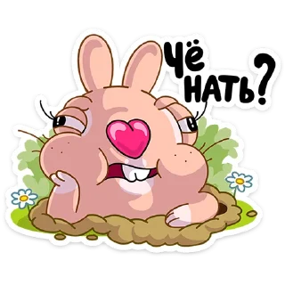 ❓