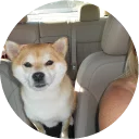 🚗