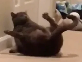 😍