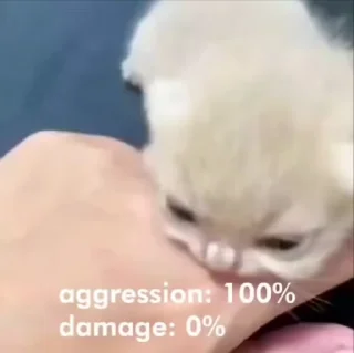 🌟