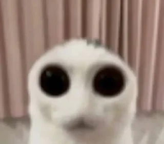 ☃️