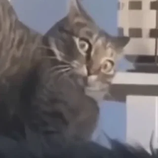 🤯