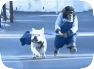 🐕