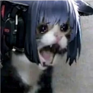 😭