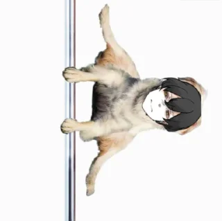 🦴