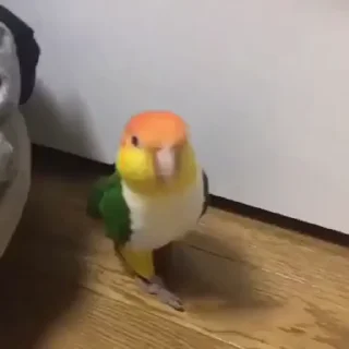 🤩