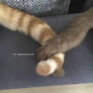 😍