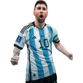 🇦🇷