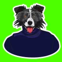 🐶