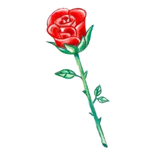 🌹